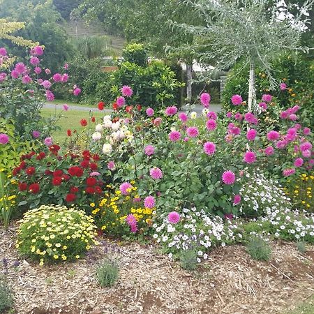 Glenbervie Cottages Whangarei Exterior foto